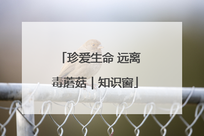 珍爱生命 远离毒蘑菇｜知识窗
