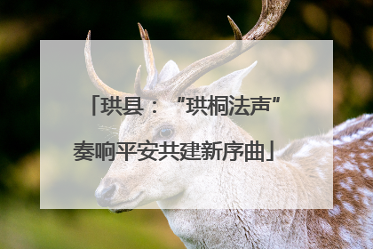 珙县：“珙桐法声”奏响平安共建新序曲