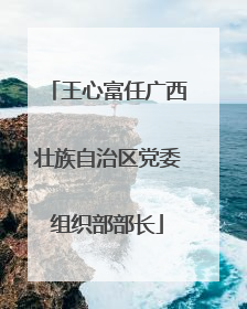 王心富任广西壮族自治区党委组织部部长