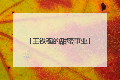 王铁强的甜蜜事业