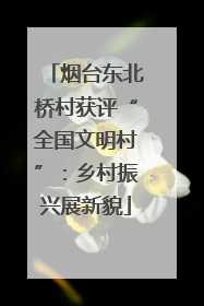 烟台东北桥村获评“全国文明村”：乡村振兴展新貌