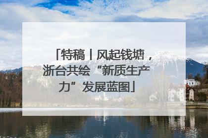 特稿丨风起钱塘，浙台共绘“新质生产力”发展蓝图
