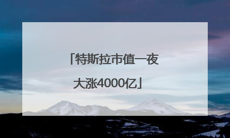 特斯拉市值一夜大涨4000亿