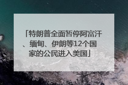 特朗普全面暂停阿富汗、缅甸、伊朗等12个国家的公民进入美国