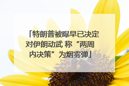 特朗普被曝早已决定对伊朗动武 称“两周内决策”为烟雾弹