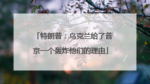 特朗普：乌克兰给了普京一个轰炸他们的理由