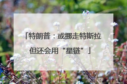 特朗普：或挪走特斯拉 但还会用“星链”
