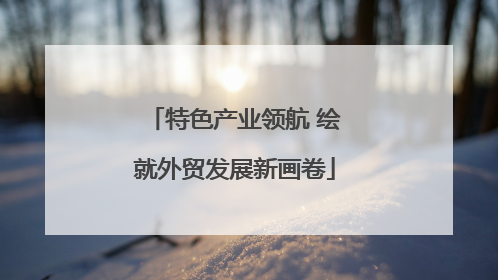 特色产业领航 绘就外贸发展新画卷