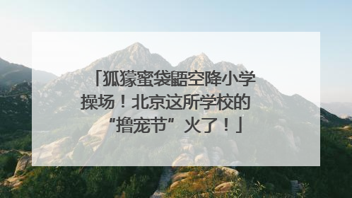 狐獴蜜袋鼯空降小学操场！北京这所学校的“撸宠节”火了！