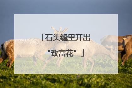 石头缝里开出“致富花”