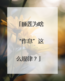 睡莲为啥“作息”这么规律？