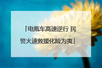 电瓶车高速逆行 民警火速救援化险为夷