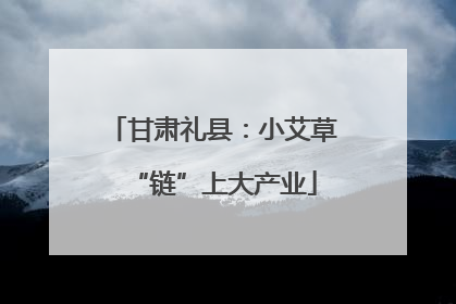 甘肃礼县：小艾草“链”上大产业