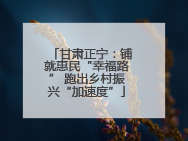 甘肃正宁：铺就惠民“幸福路” 跑出乡村振兴“加速度”