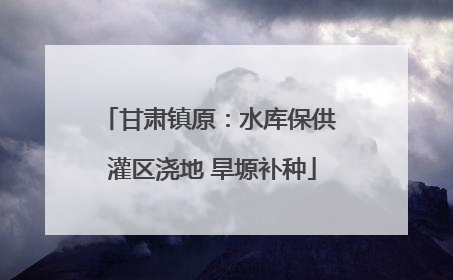 甘肃镇原：水库保供 灌区浇地 旱塬补种