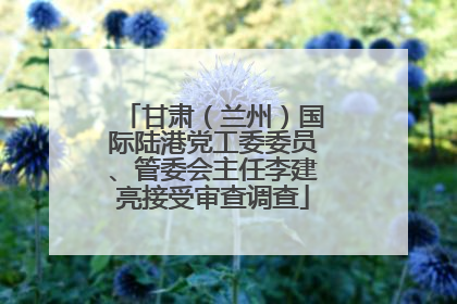 甘肃（兰州）国际陆港党工委委员、管委会主任李建亮接受审查调查