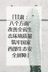 甘肃：“八个方面”改善全省生态环境质量 筑牢国家西部生态安全屏障
