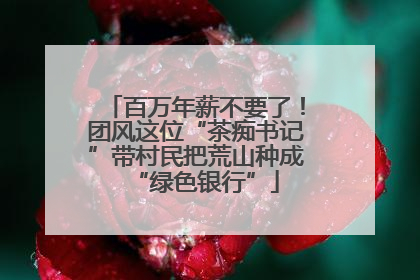 百万年薪不要了！团风这位“茶痴书记”带村民把荒山种成“绿色银行”