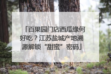 百果园门店西瓜缘何好吃？江苏盐城产地溯源解锁“甜蜜”密码