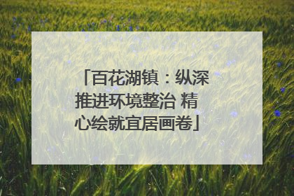 百花湖镇：纵深推进环境整治 精心绘就宜居画卷