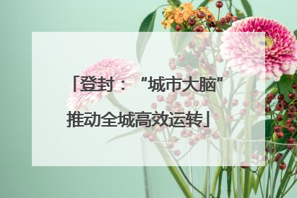登封：“城市大脑”推动全城高效运转