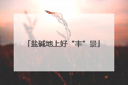 盐碱地上好“丰”景
