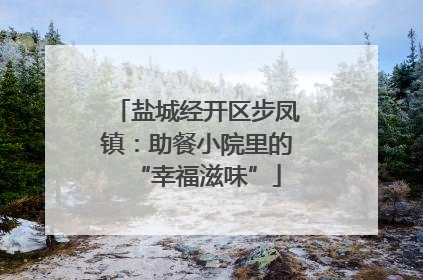 盐城经开区步凤镇：助餐小院里的“幸福滋味”