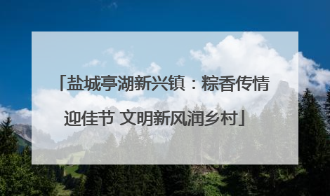 盐城亭湖新兴镇：粽香传情迎佳节 文明新风润乡村