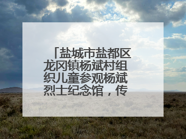 盐城市盐都区龙冈镇杨斌村组织儿童参观杨斌烈士纪念馆，传承红色基因