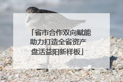 省市合作双向赋能 助力打造全省资产盘活益阳新样板