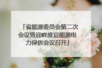 省能源委员会第二次会议暨迎峰度夏能源电力保供会议召开