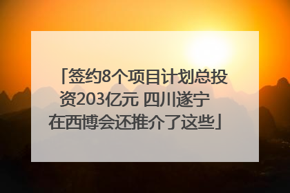 签约8个项目计划总投资203亿元 四川遂宁在西博会还推介了这些
