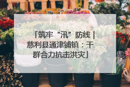 筑牢“汛”防线｜慈利县通津铺镇：干群合力抗击洪灾