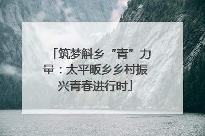 筑梦斛乡“青”力量：太平畈乡乡村振兴青春进行时