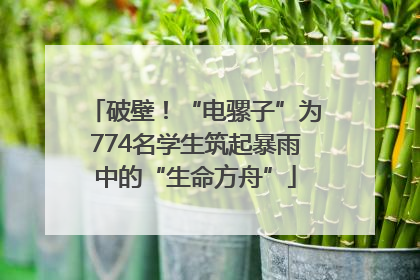 破壁！“电骡子”为774名学生筑起暴雨中的“生命方舟”