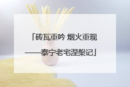 砖瓦重吟 烟火重现——泰宁老宅涅槃记