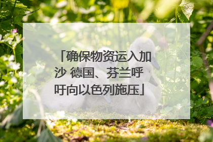 确保物资运入加沙 德国、芬兰呼吁向以色列施压