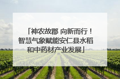 神农故郡 向新而行！智慧气象赋能安仁县水稻和中药材产业发展