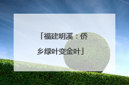 福建明溪：侨乡绿叶变金叶