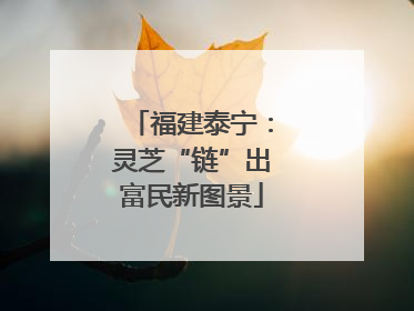 福建泰宁：灵芝“链”出富民新图景