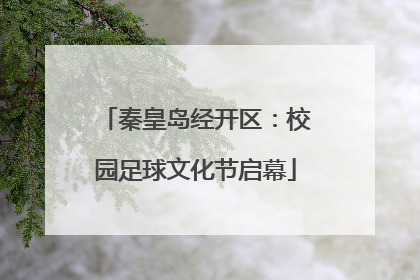 秦皇岛经开区：校园足球文化节启幕