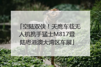 空陆双侠！天鹰车载无人机携手猛士M817登陆粤港澳大湾区车展