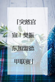 突然官宣！樊振东加盟德甲联赛