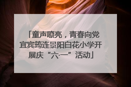 童声嘹亮，青春向党 宜宾筠连景阳白花小学开展庆“六·一”活动