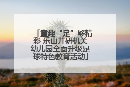 童趣“足”够精彩 乐山井研机关幼儿园全面升级足球特色教育活动