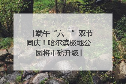 端午“六一”双节同庆！哈尔滨极地公园将重磅升级