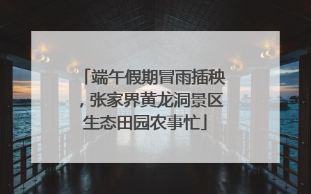 端午假期冒雨插秧，张家界黄龙洞景区生态田园农事忙