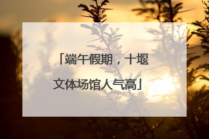 端午假期，十堰文体场馆人气高