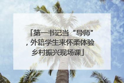 第一书记当“导师”，外籍学生来怀柔体验乡村振兴现场课