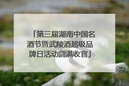 第三届湖南中国名酒节暨武陵酒超级品牌日活动圆满收官